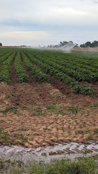 Acadian Family Farm LLC photo 3