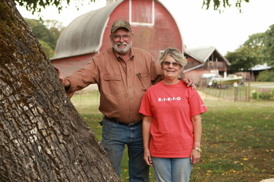Northern Lights Christmas Tree Farm photo 2