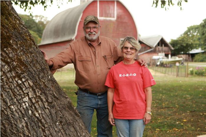 Northern Lights Christmas Tree Farm photo 11