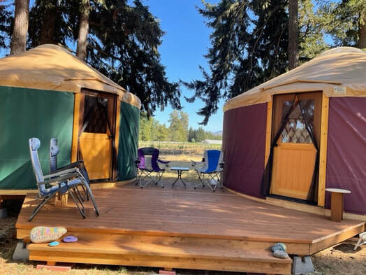 Northern Lights Christmas Tree Farm photo 15