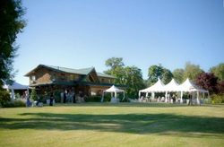 Northern Lights Christmas Tree Farm photo 6