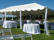 Northern Lights Christmas Tree Farm photo 7