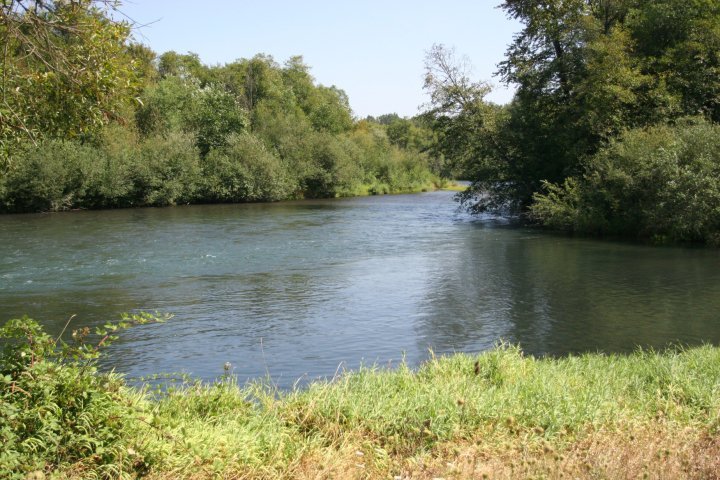 Northern Lights Christmas Tree Farm photo 8