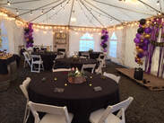 Northern Lights Christmas Tree Farm photo 10