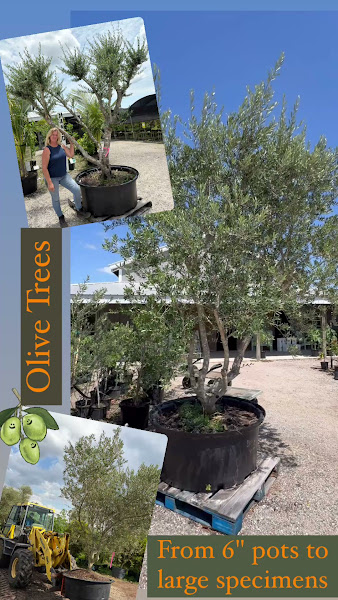 A Natural Farm and Educational Center