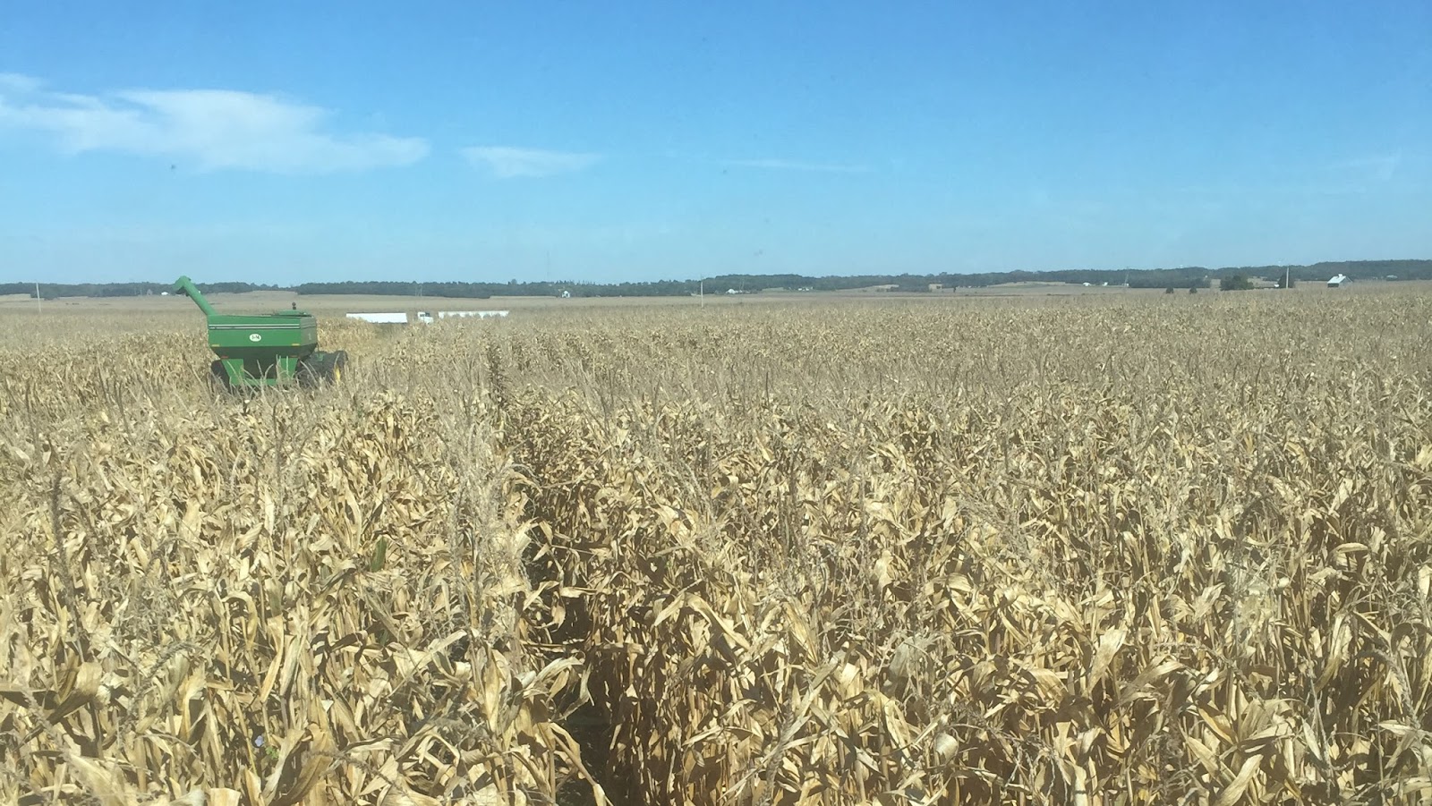 Ioerger Family Farms