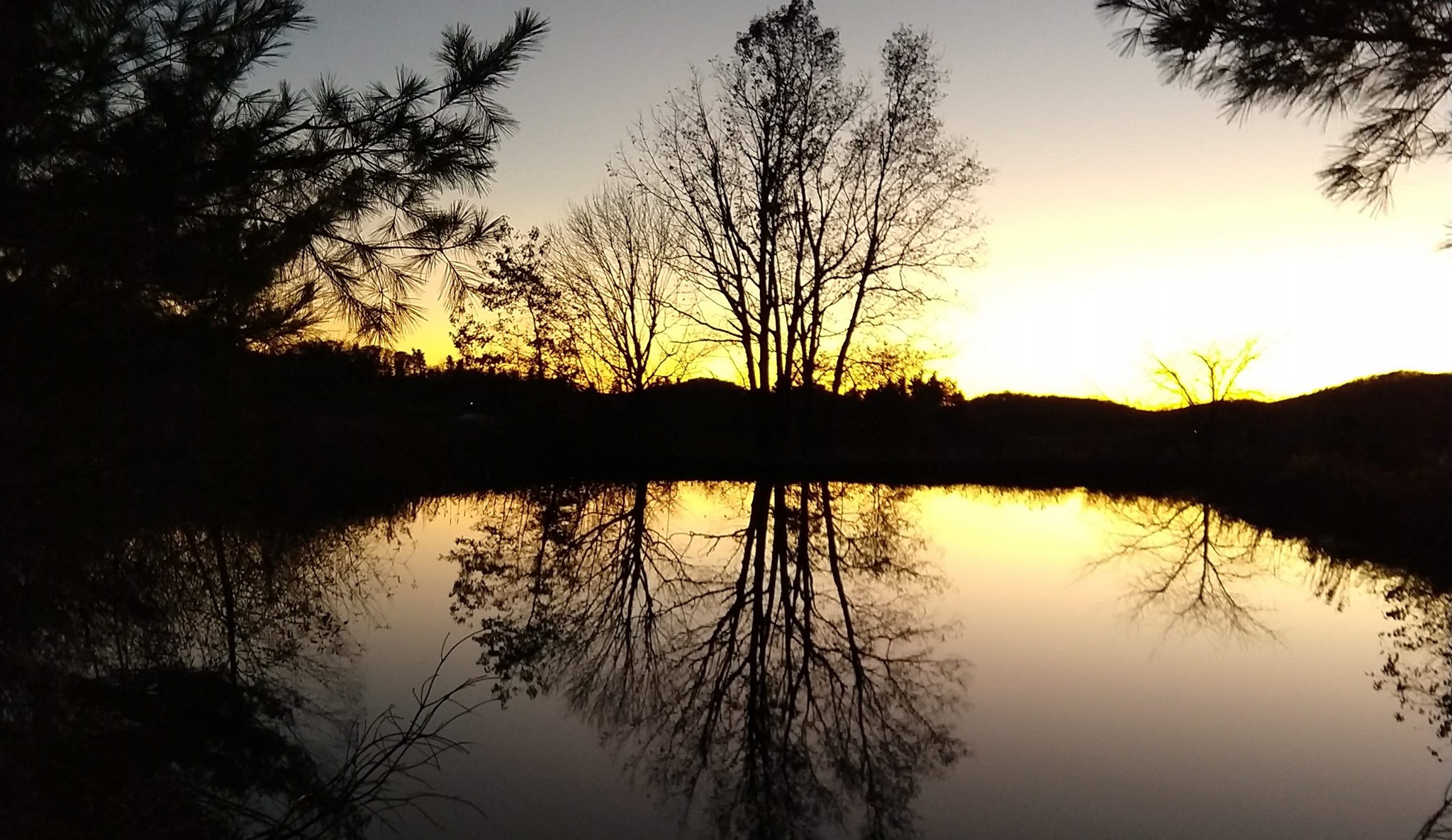 Chestnut Grove Farm