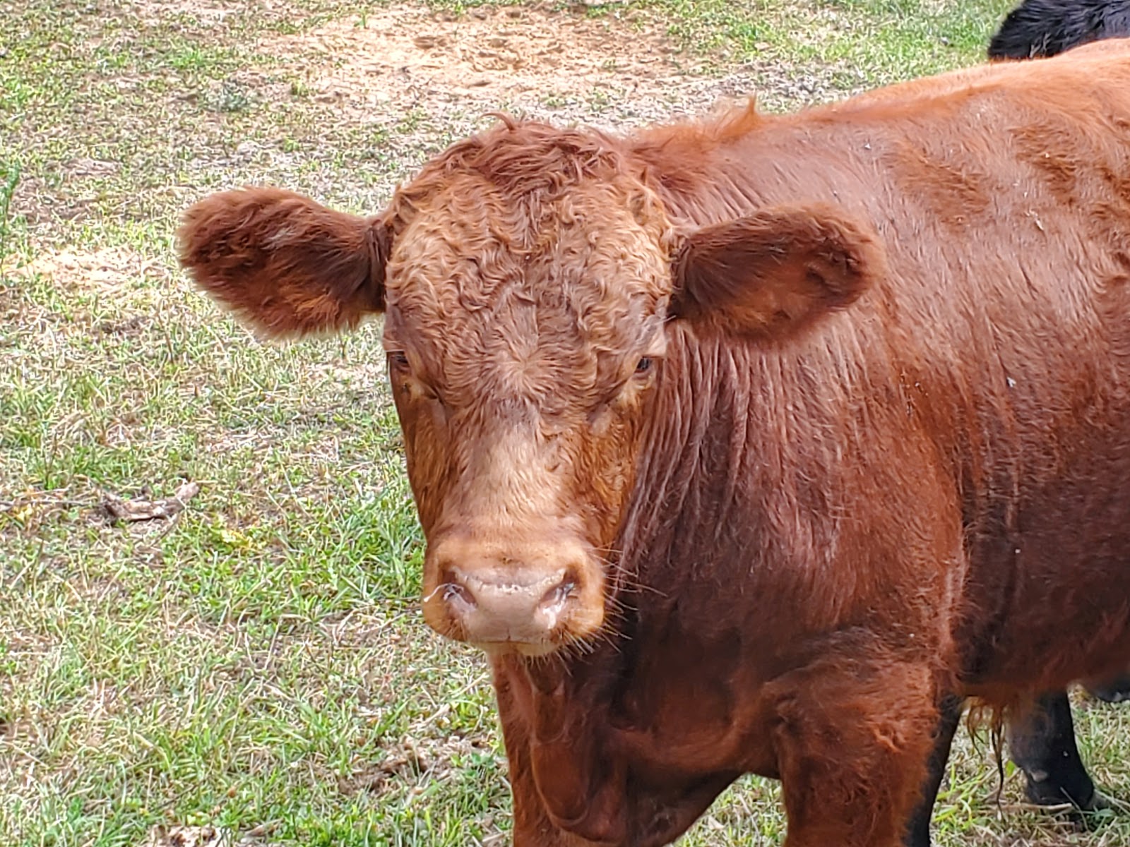 3rd Day Farmer’s Market and Store photo 4