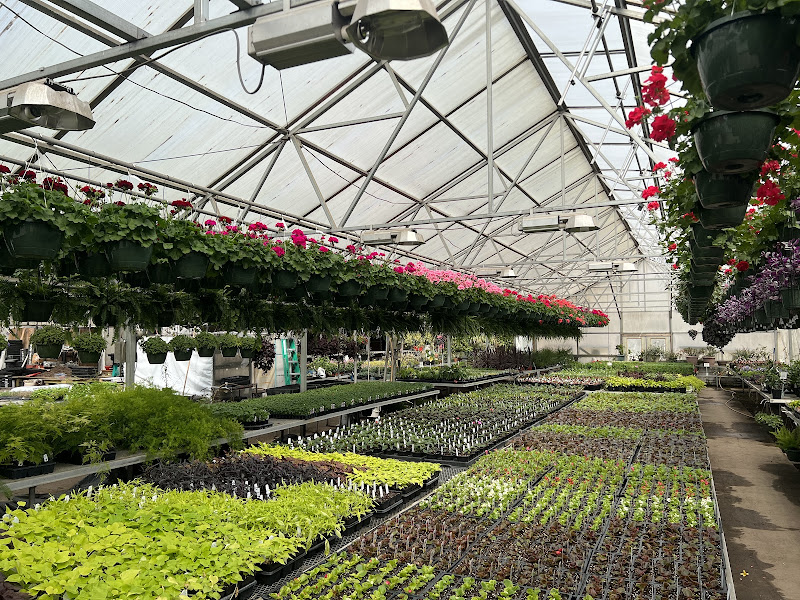 Link's Greenhouse