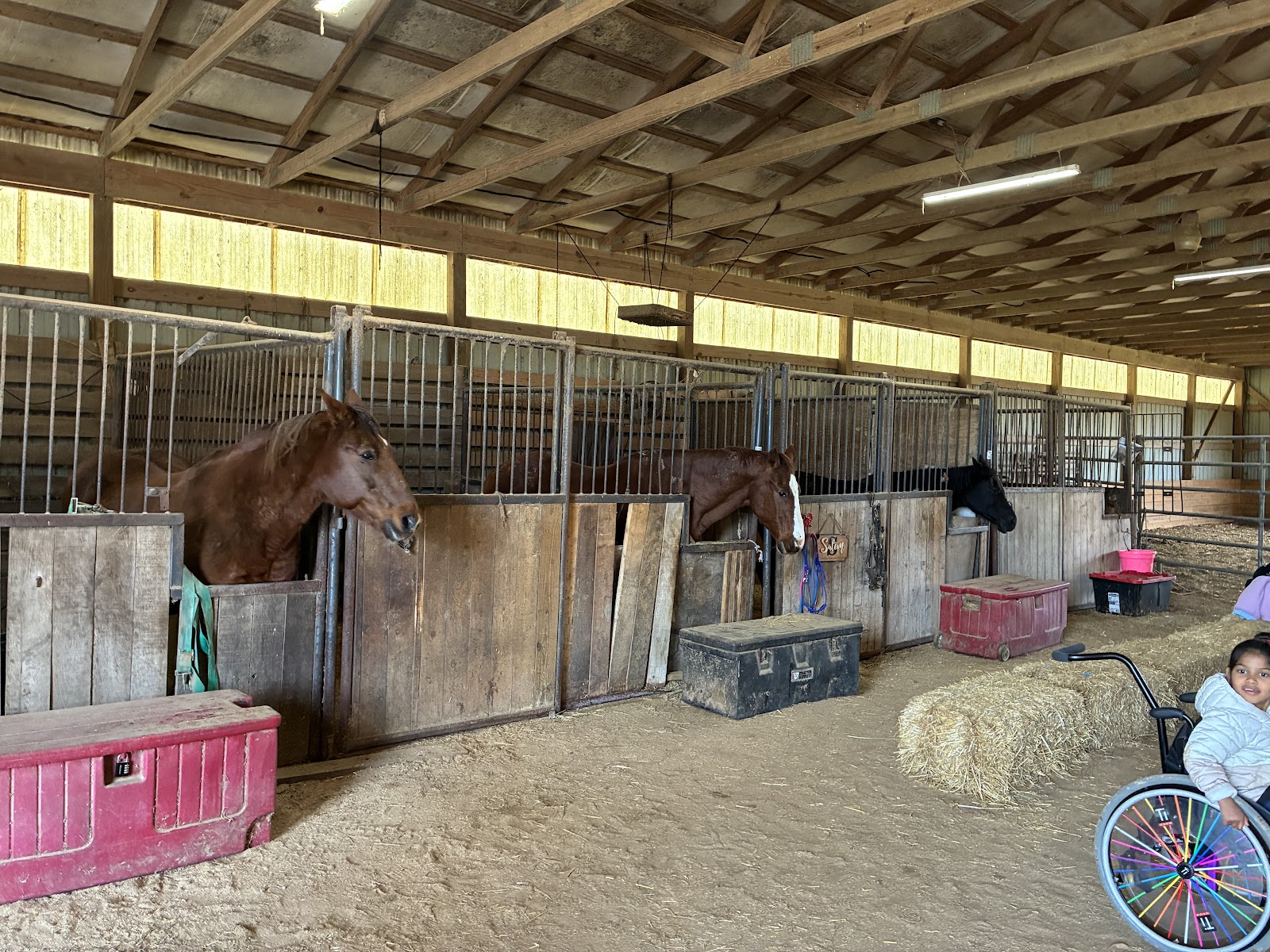 Sunny Acres Farm photo 3