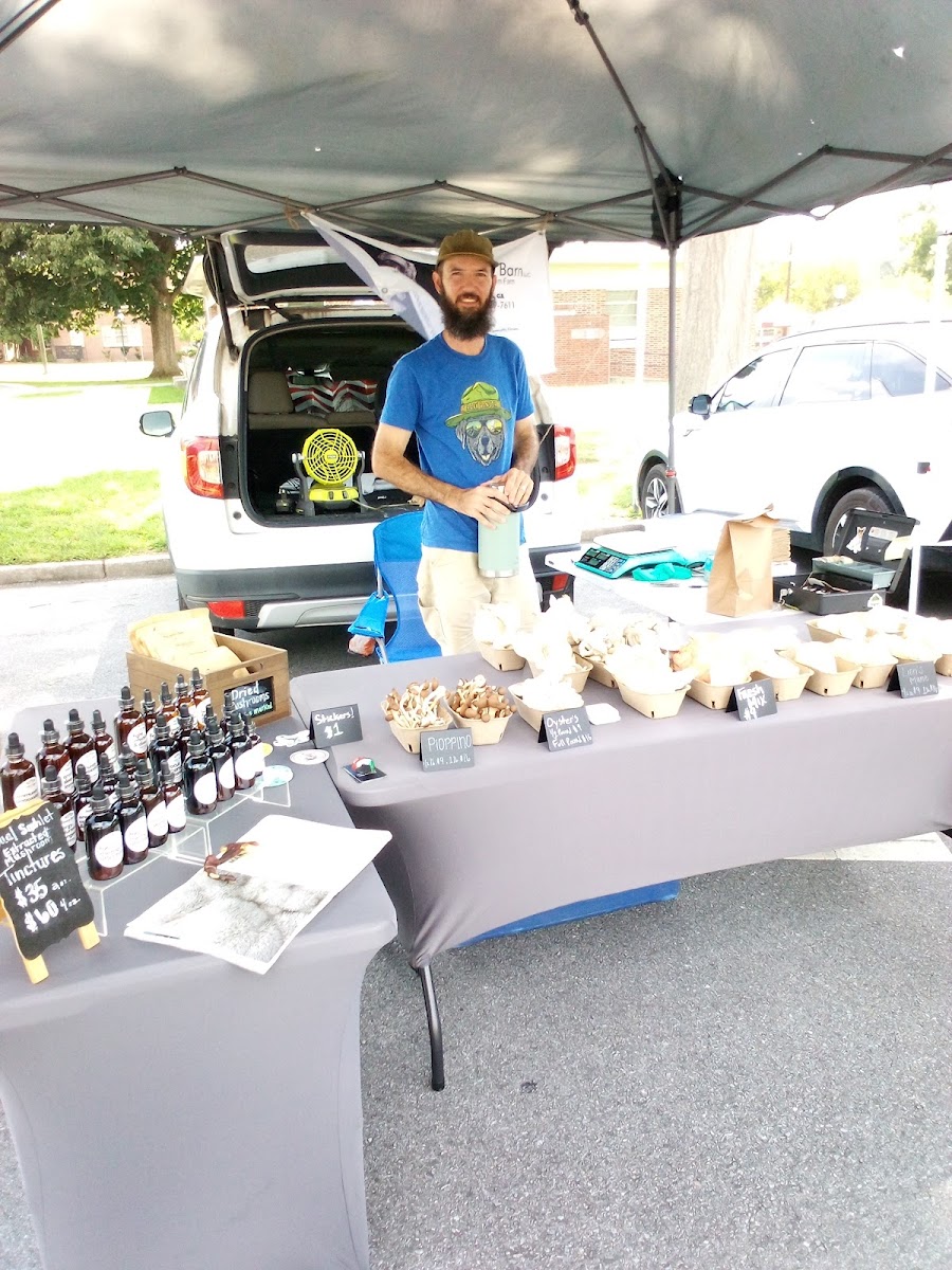 Rockmart Farmers Market photo 2