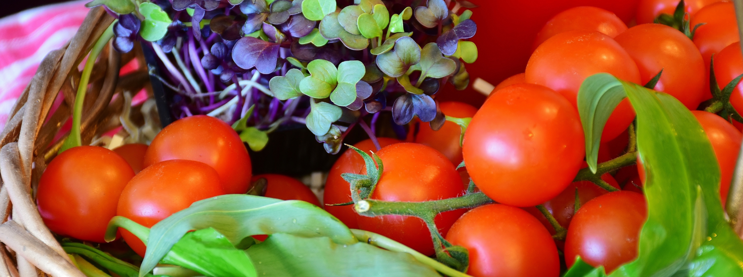 Rockmart Farmers Market