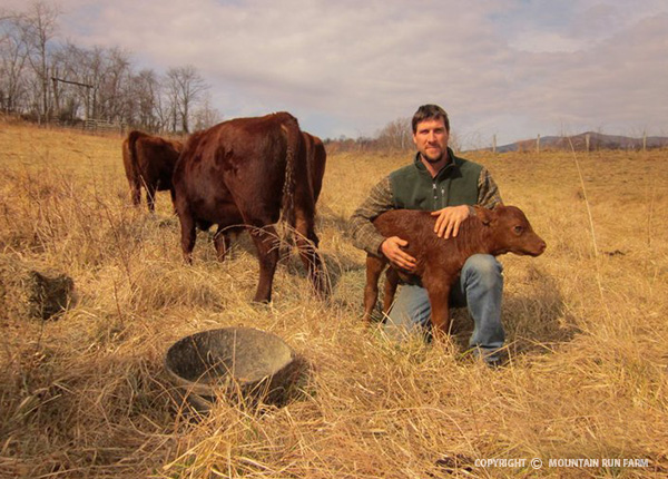 Mountain Run Farm photo 31
