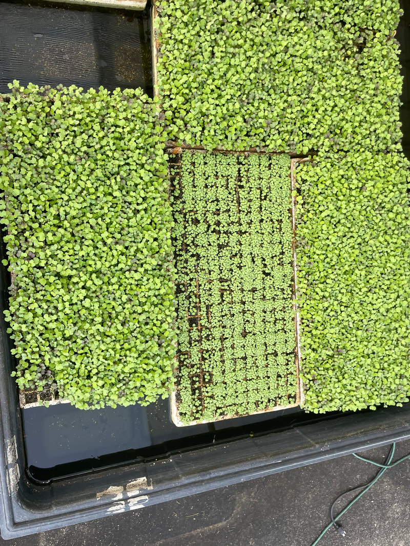 Vollmer Farm photo 2