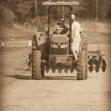 Vollmer Farm photo 21