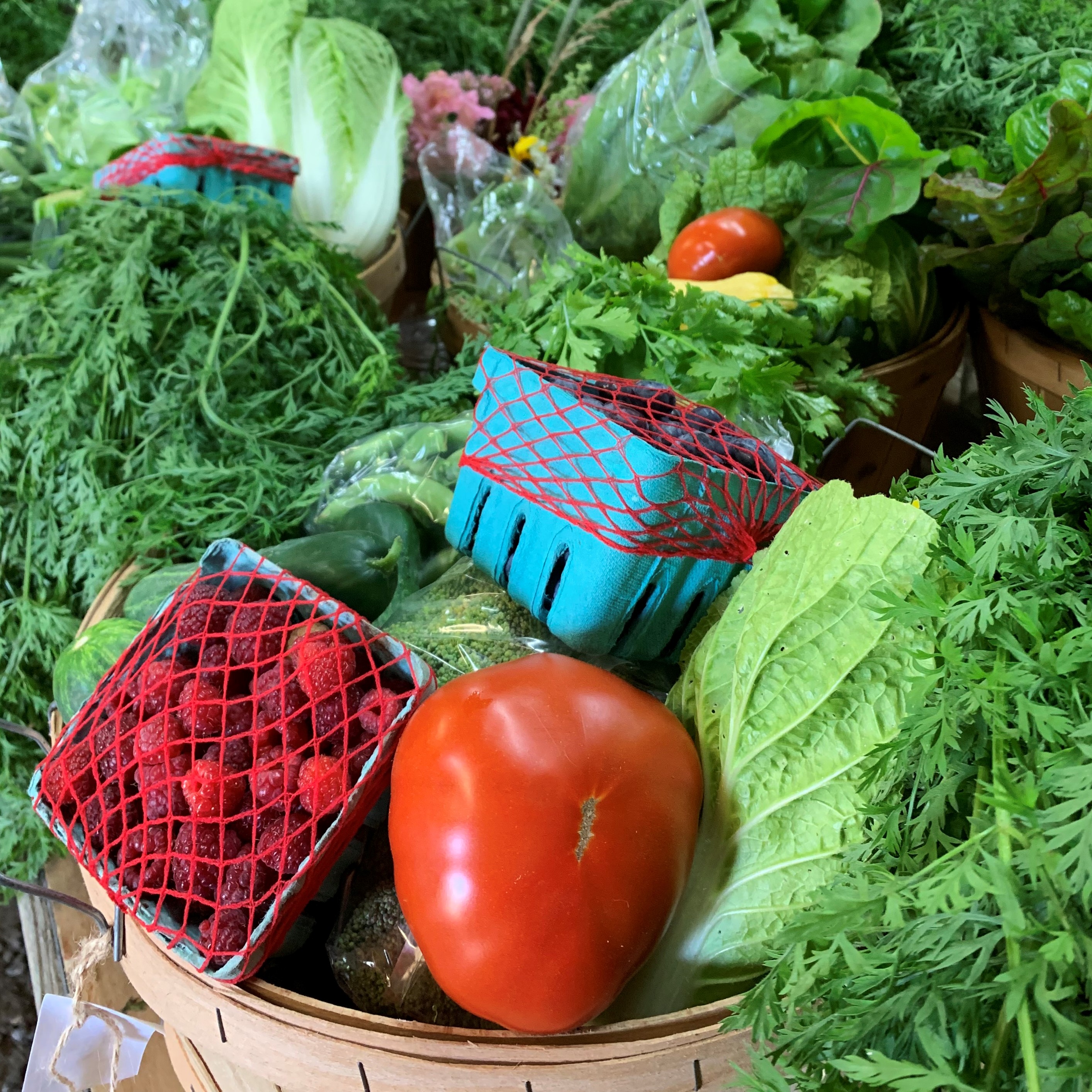 Tracies Community Farm