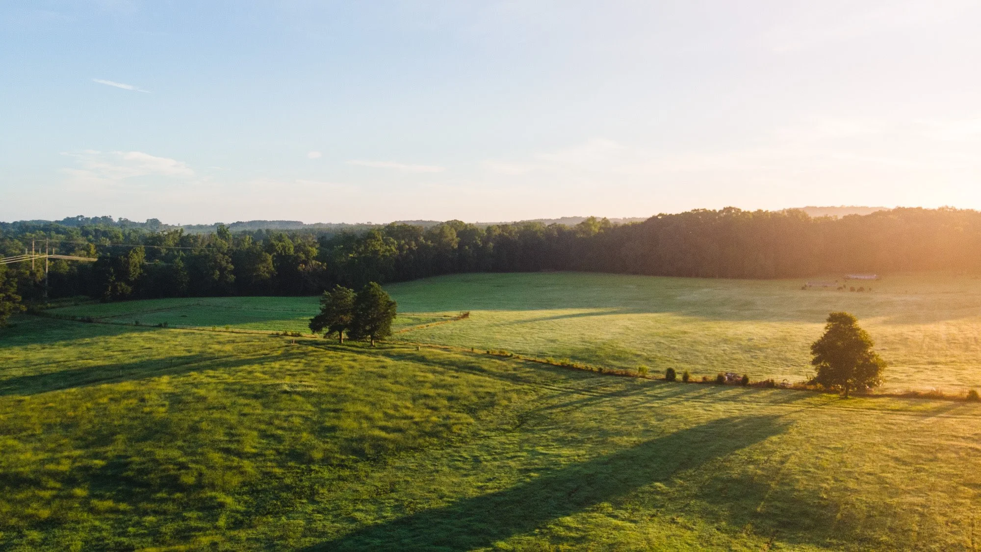 Gingerich Family Farm