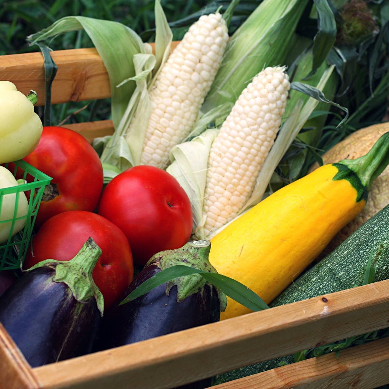 Dittmar Family Farms LLC