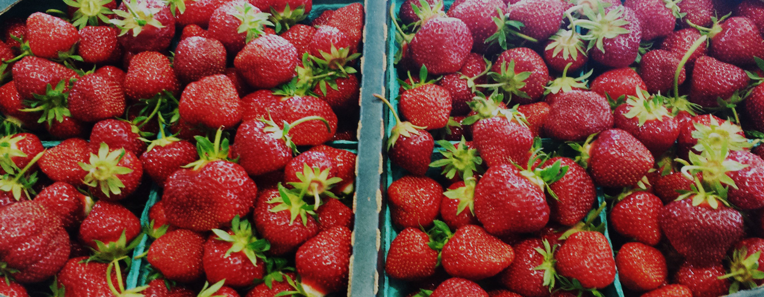 Cotant's Farm Market & Greenhouse Inc. photo 2