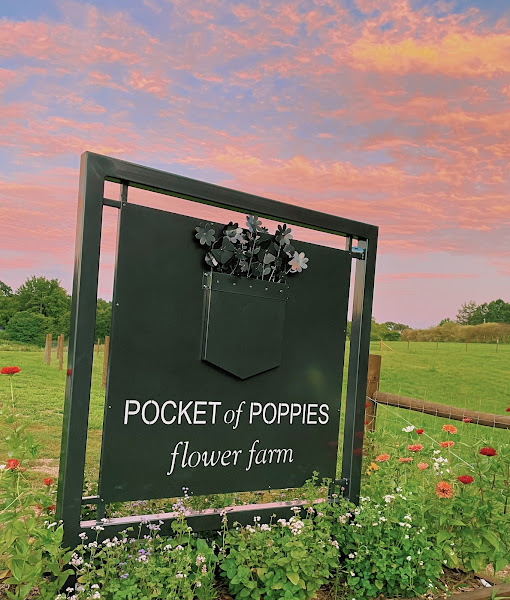 Sweet Poppy Farm photo 2