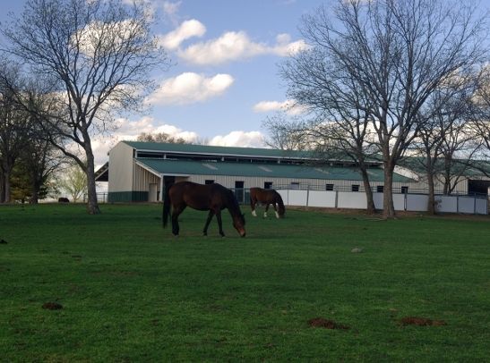 Flying G Ranch