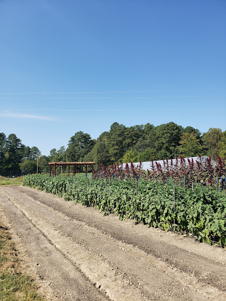 Red's Quality Acre photo 2