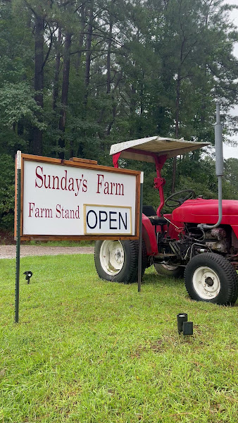 Sunday’s Farm