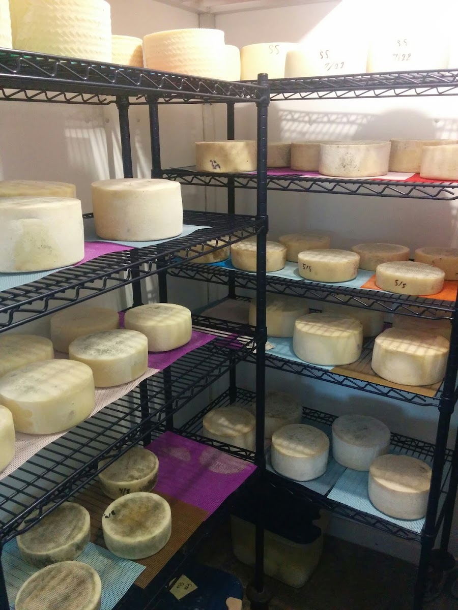 Shepherd's Whey Creamery photo 2