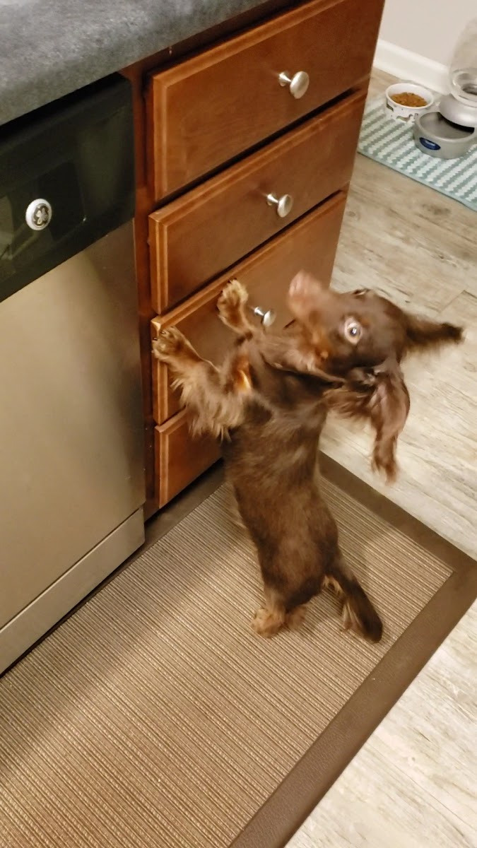 Gardners Berry Farm photo 4