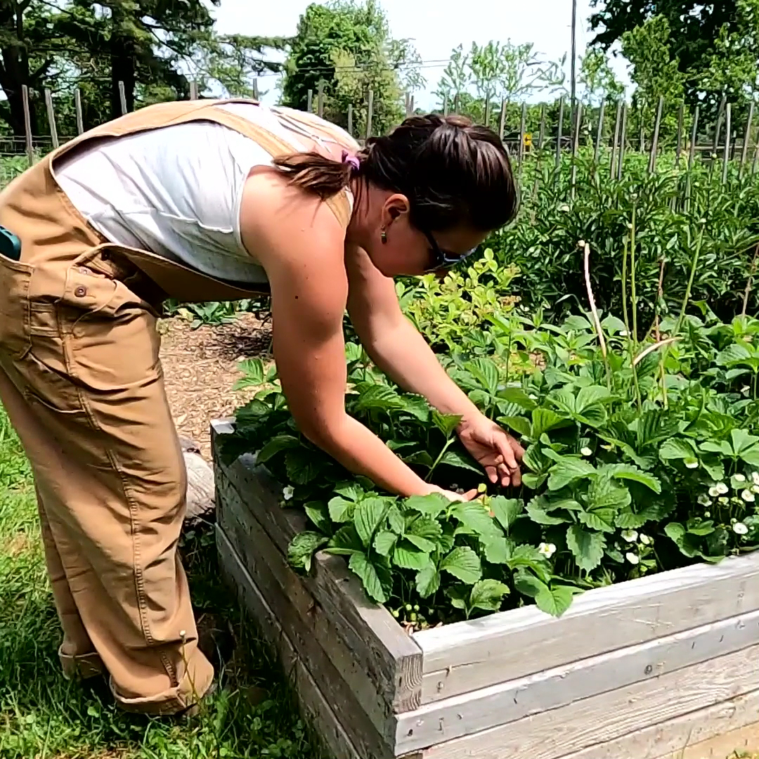 Cold Spring Farm photo 4