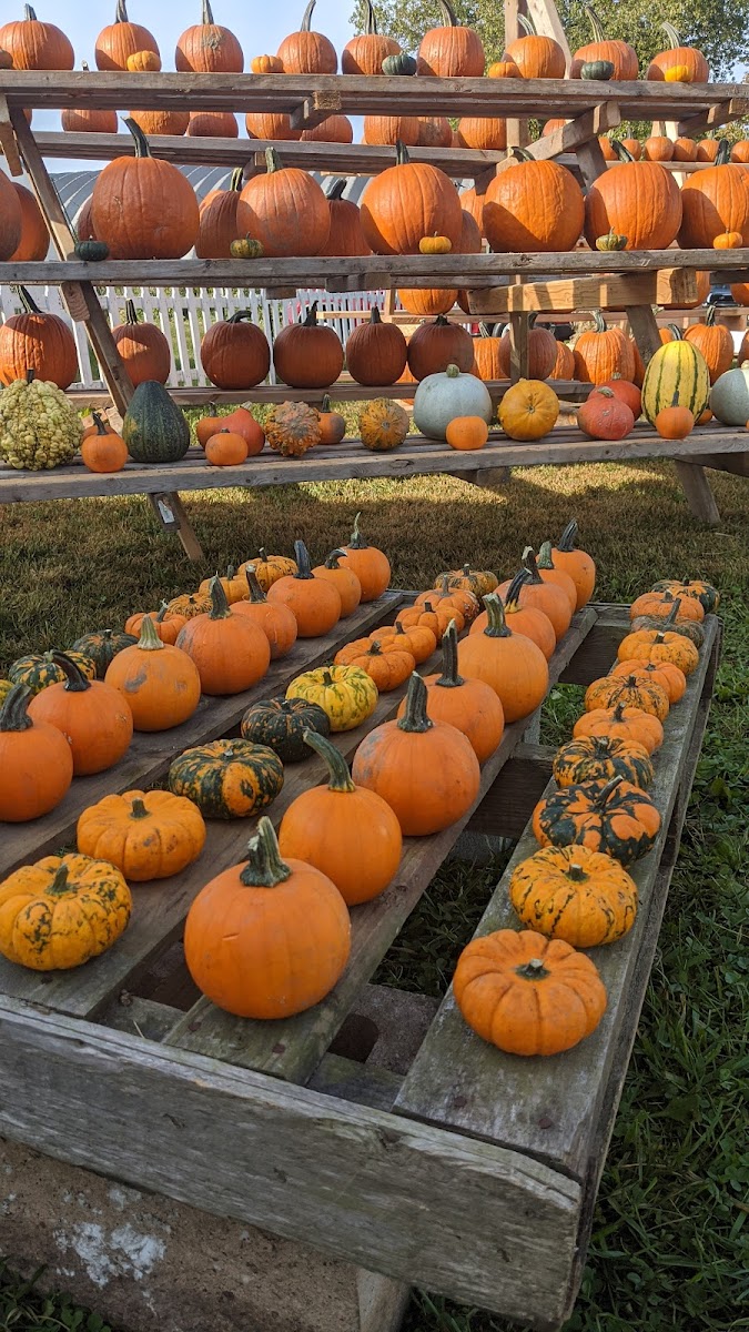 Cold Spring Farm photo 5