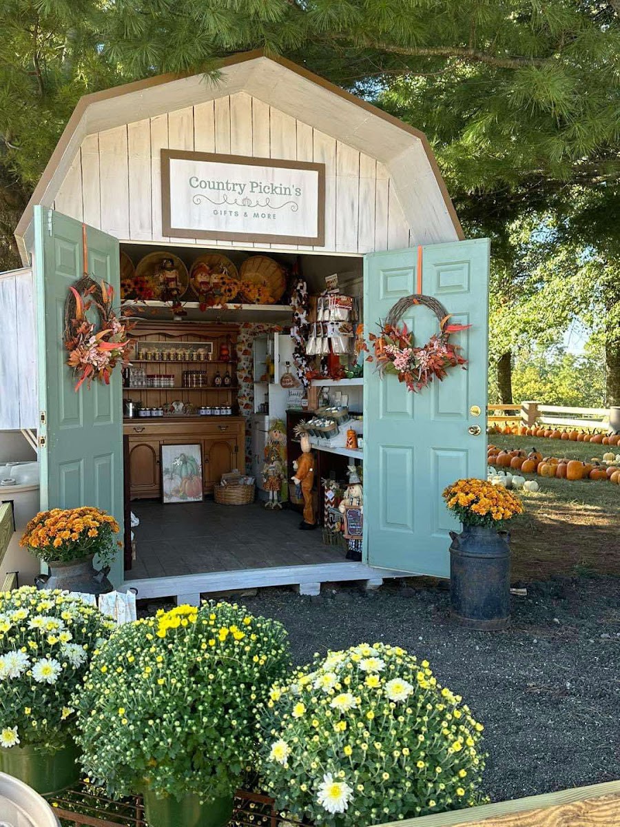 Pennington Family Farms Country Pumpkins photo 13