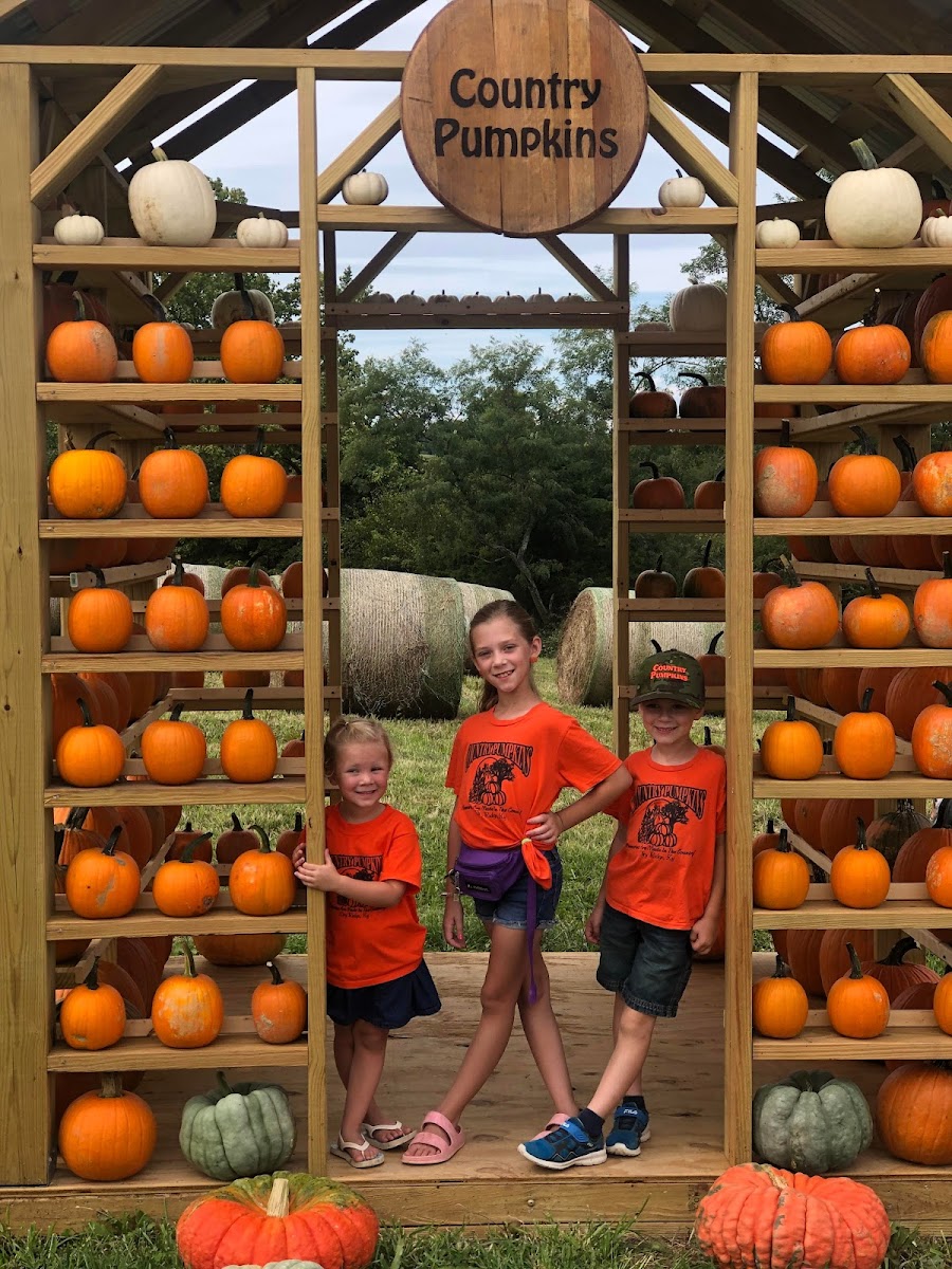 Pennington Family Farms Country Pumpkins photo 14