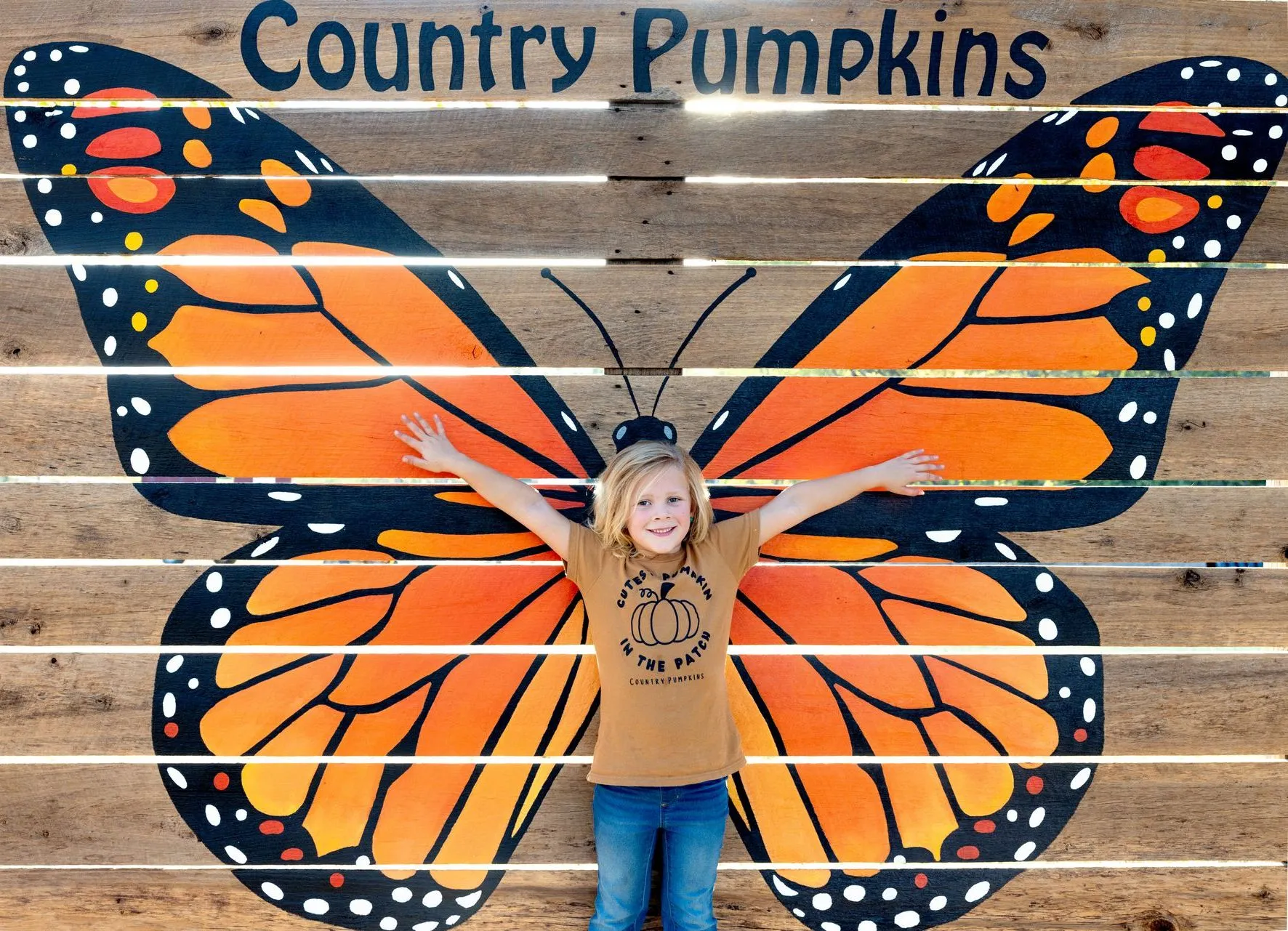 Pennington Family Farms Country Pumpkins