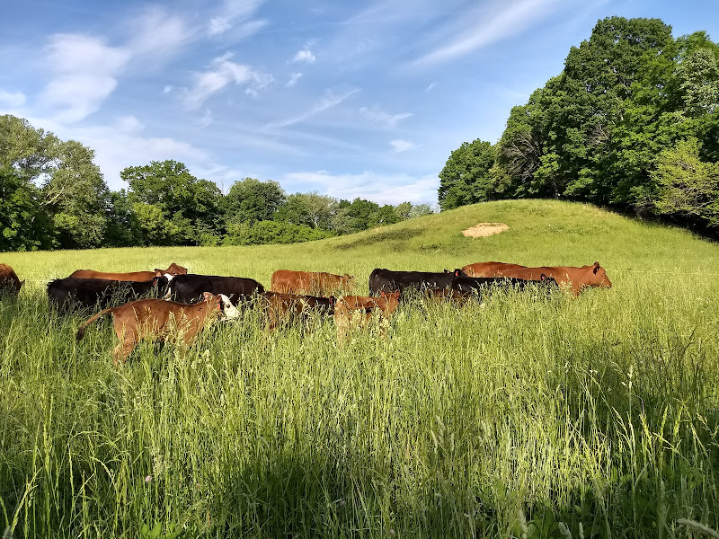 Ararat Farm
