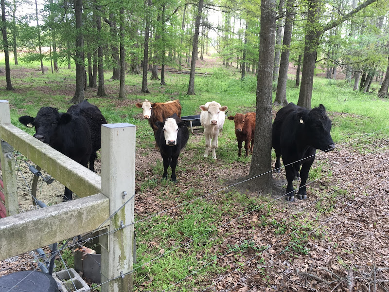 A Thrasher’s Farm, LLC