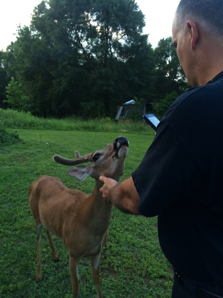 A Thrasher’s Farm, LLC photo 2