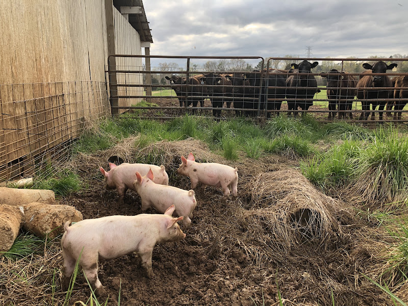 Dudash Farms photo 3
