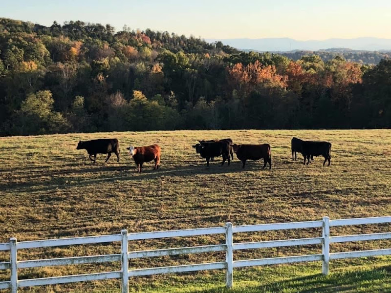 Dudash Farms photo 5