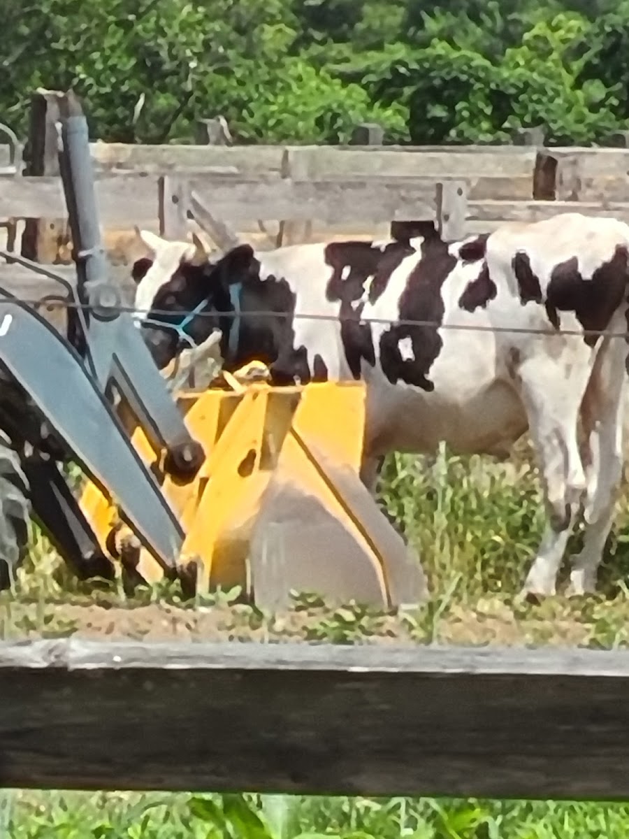 Barrett Hill Farm, LLC