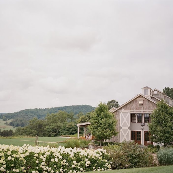 Pippin Hill Farm & Vineyards photo 2