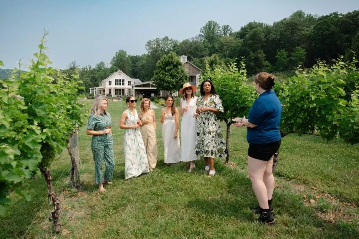 Pippin Hill Farm & Vineyards photo 3