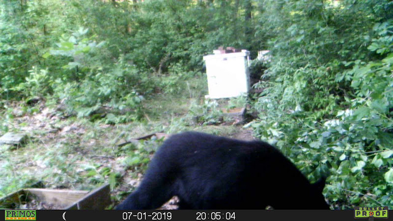 Black Birch Farm Apiaries photo 2