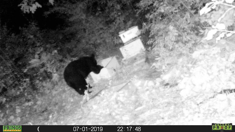 Black Birch Farm Apiaries photo 4