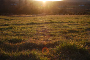 Crooked Creek Farms photo 11