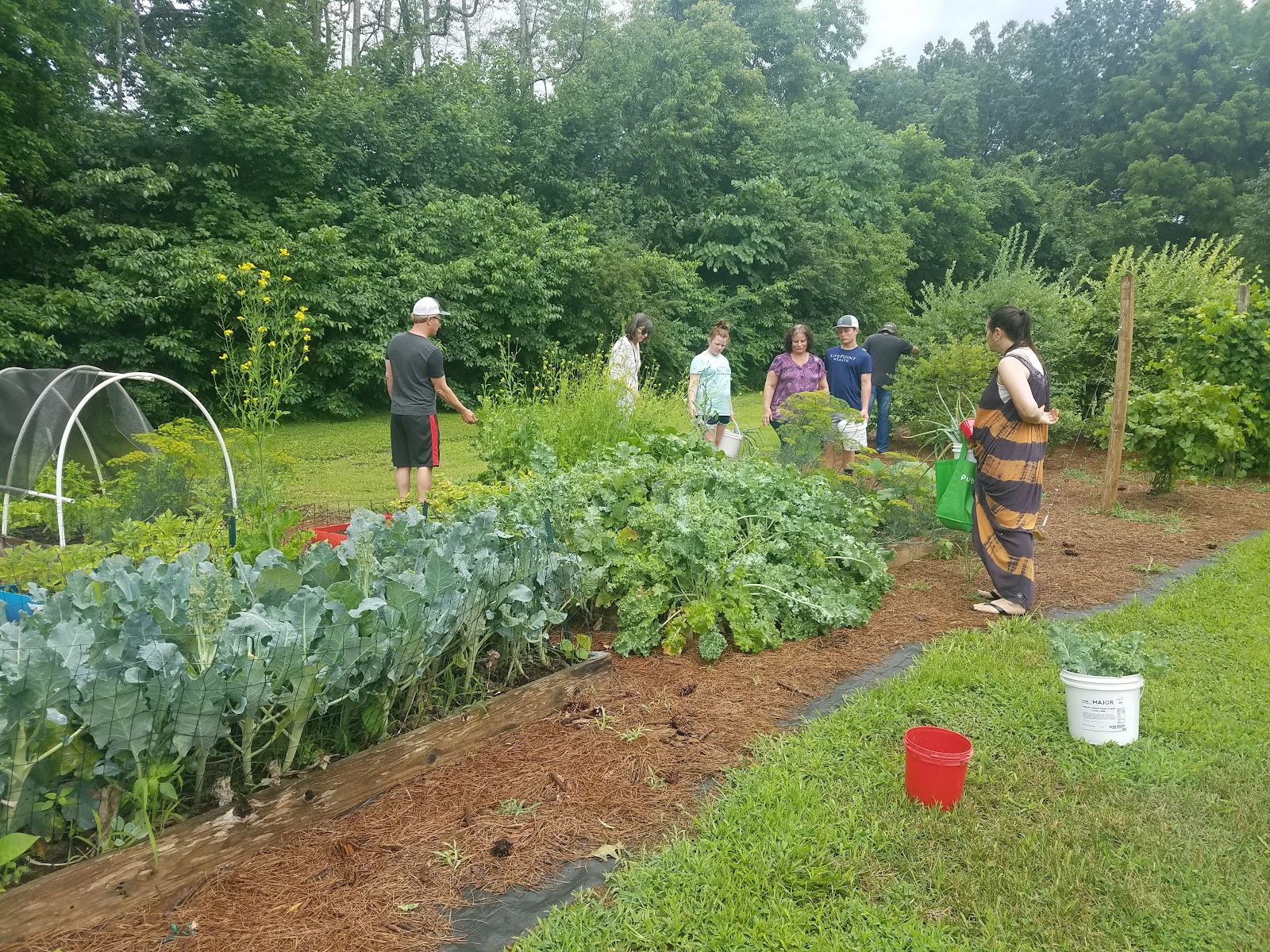 Stoney Creek Farm photo 3