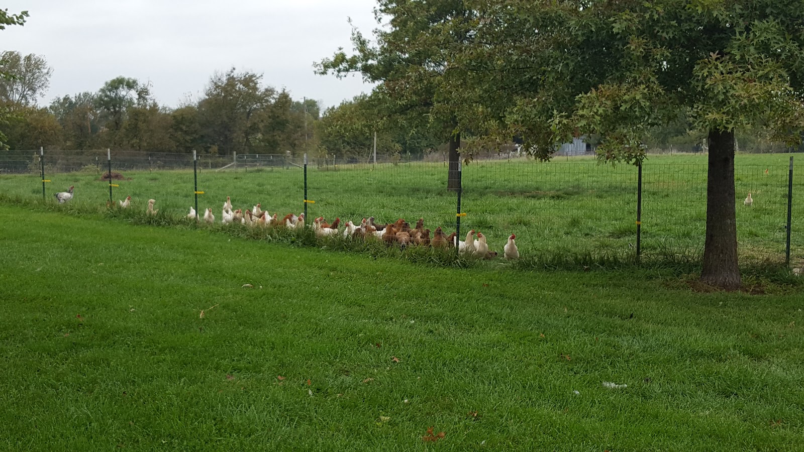 Prairie Garden Farm photo 2