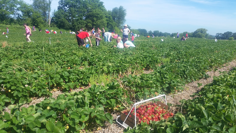 Carandale Farm photo 2