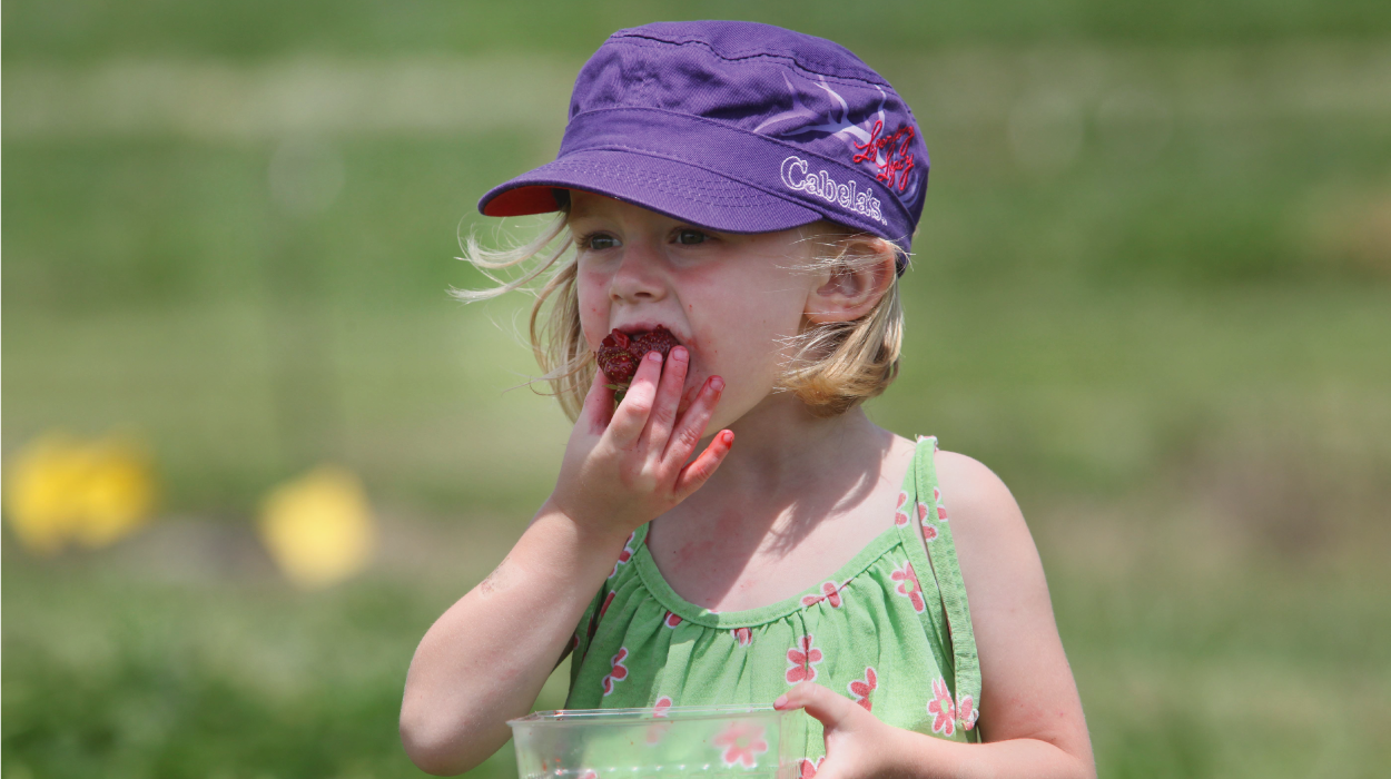 Carandale Farm