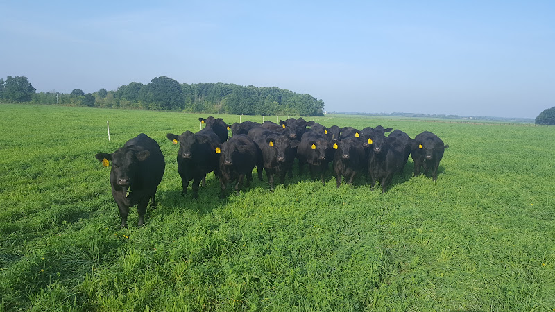 Landmark Pastoral Farms photo 2